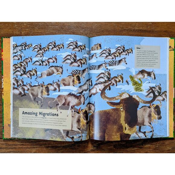 Incredible Animals Kids Book Hardbound Educational 8-12 Years Barefoot Books - Picture 9 of 11